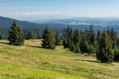 _DSC7946