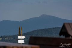 _DSC7947
