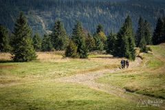 _DSC7948