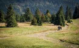 _DSC7948
