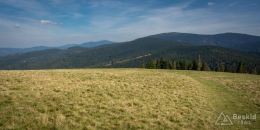 _DSC7949
