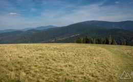 _DSC7949