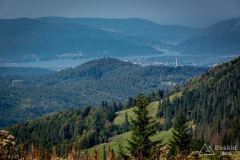 _DSC7955