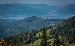 _DSC7955