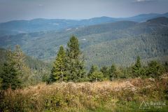 _DSC7956
