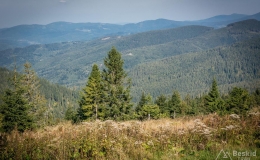 _DSC7956