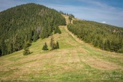 _DSC7957