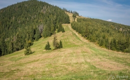 _DSC7957