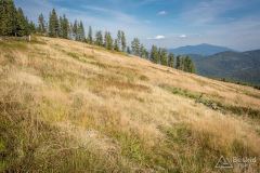 _DSC7958