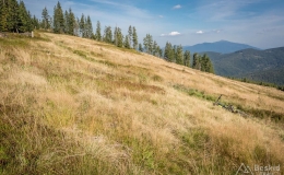 _DSC7958
