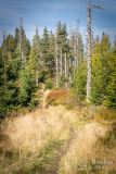 _DSC7959