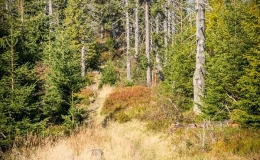 _DSC7959
