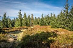 _DSC7960