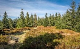 _DSC7960
