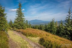 _DSC7962