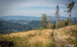 _DSC7967