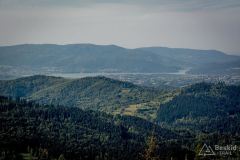 _DSC7975