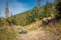 _DSC7978