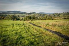 _DSC7981