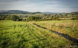 _DSC7981