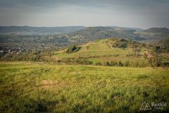 _DSC7983