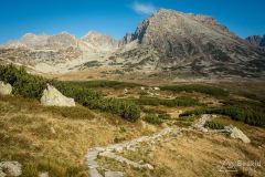 _DSC7998
