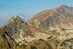 _DSC8005