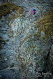 _DSC8008