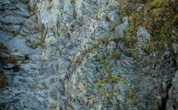 _DSC8008