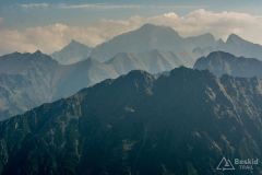 _DSC8013