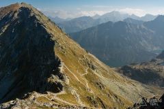 _DSC8020