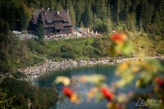 _DSC8046