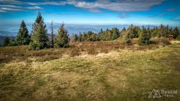 IMG_20180928_110926_HDR