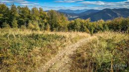 IMG_20180928_112301_HDR