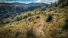 IMG_20180928_114230_HDR