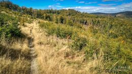 IMG_20180928_114805_HDR