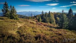 IMG_20180928_162054_HDR