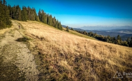IMG_20181006_170733_HDR
