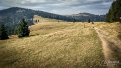 IMG_20181007_130755_HDR