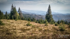 IMG_20181007_131641_HDR