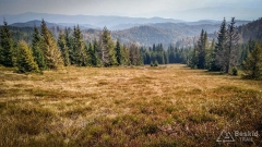 IMG_20181007_131733_HDR