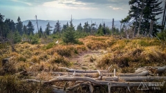 IMG_20181007_155051_HDR