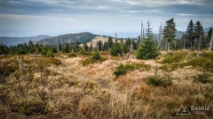 IMG_20181007_155707_HDR