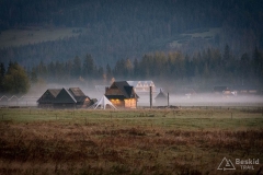 _DSC8058