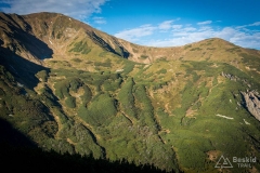 _DSC8064