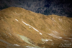 _DSC8108