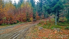 IMG_20181020_111556_HDR