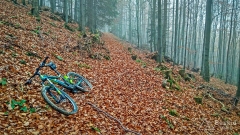 IMG_20181020_113239_HDR