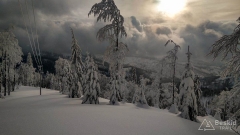 IMG_20190104_133737