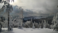 IMG_20190104_133838